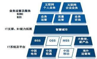天源迪科（300047）更新研究報告 聚焦政企與運營商雙輪驅(qū)動，深化軟件外包服務(wù)布局