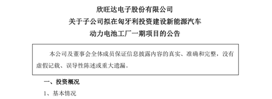 欣旺達布局歐洲市場 以自有資金投資匈牙利動力電池工廠的戰略考量